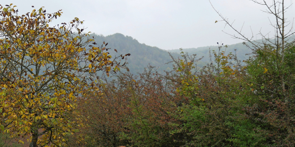 Wandertag 2025