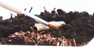 Mehr über den Artikel erfahren Umweltlabor Boden