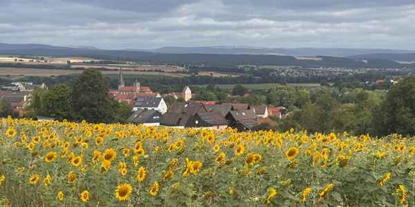Schatzsuche
